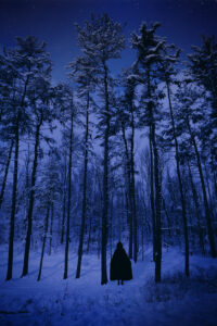 The silhouette of a person in a cloak entering the snowy forest at night.