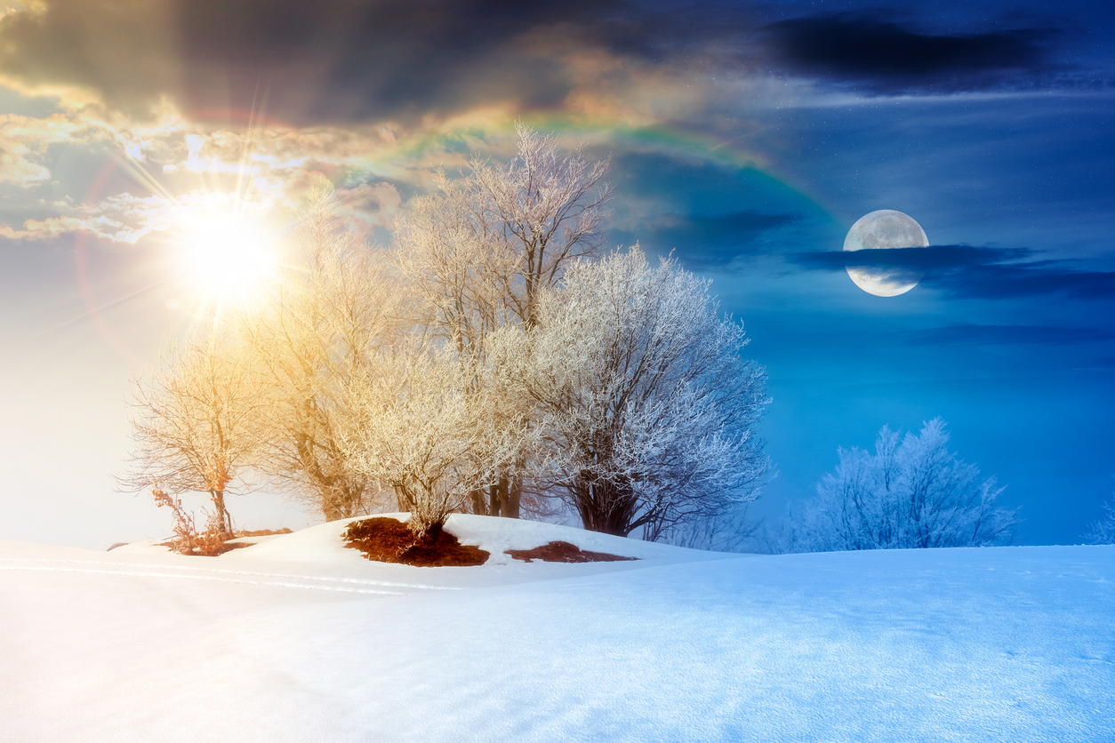 trees in hoarfrost on snow covered meadow. day and night time change concept. fantastic winter scenery on misty weather with sun and moon. equality and shift template for fairy tale landscape