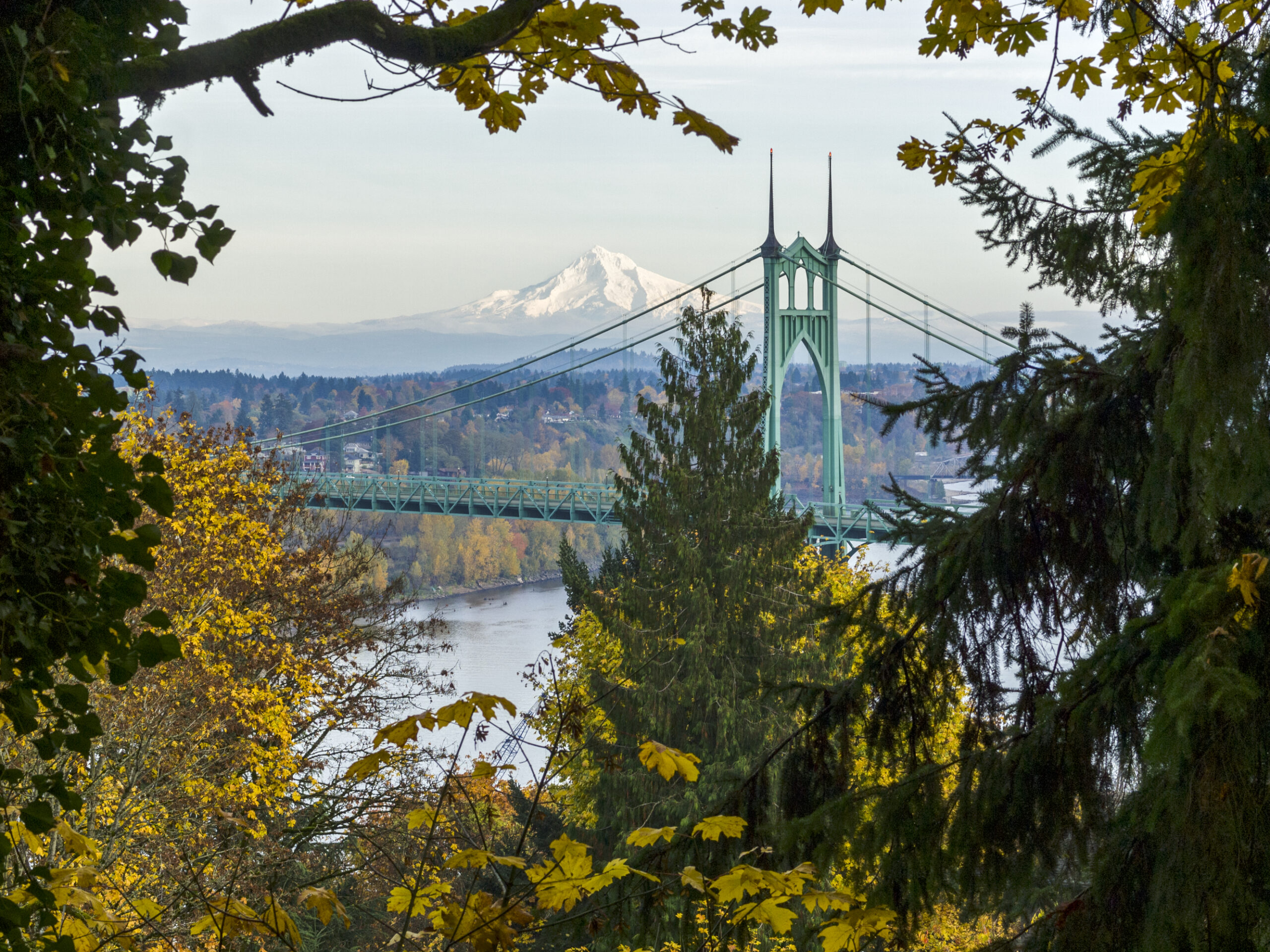 St. Johns Bridge Oregon Autumn Colors Mt Hood Horizontal